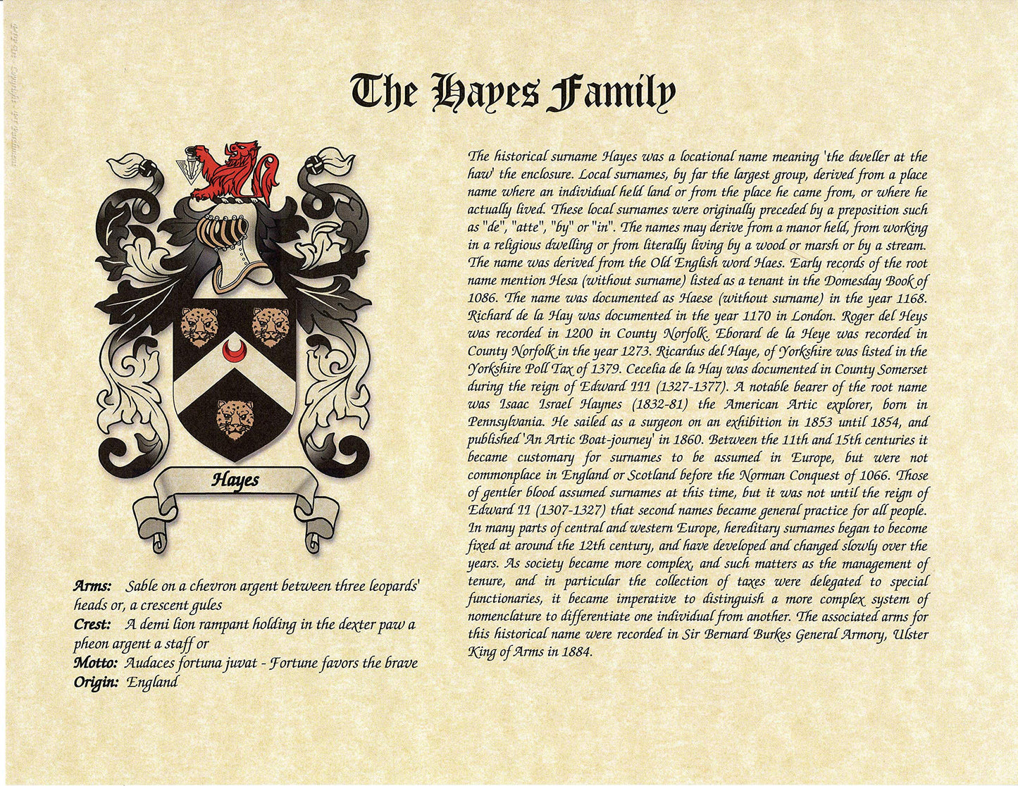 Coat of Arms Crest - History Family Surname Print Artwork 8.5 x 11 Genealogy Print | Wall Decor Ancestry Family Tree, White,Gold, 11 x 14 Inch
